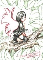 Vampire Faerie